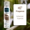 ABOVE Coconut - Dry Shampoo-Absorbs Excess Oil Between Washes -Gives Softness and Shine to Your Strands -Does Not Leave Residue - Prevents Bad Odor