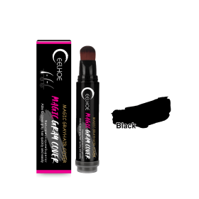 EELHOE Disposable Plant Hair Salon Root Touch Up Hair Chalk Hair Dye Pen, Hair color Touch-Up Stick Covers Gray Hair Root For Men And Women (Color: Black)